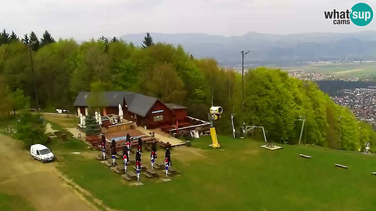 Webcam Pohorje Trikotna Jasa | Poštela