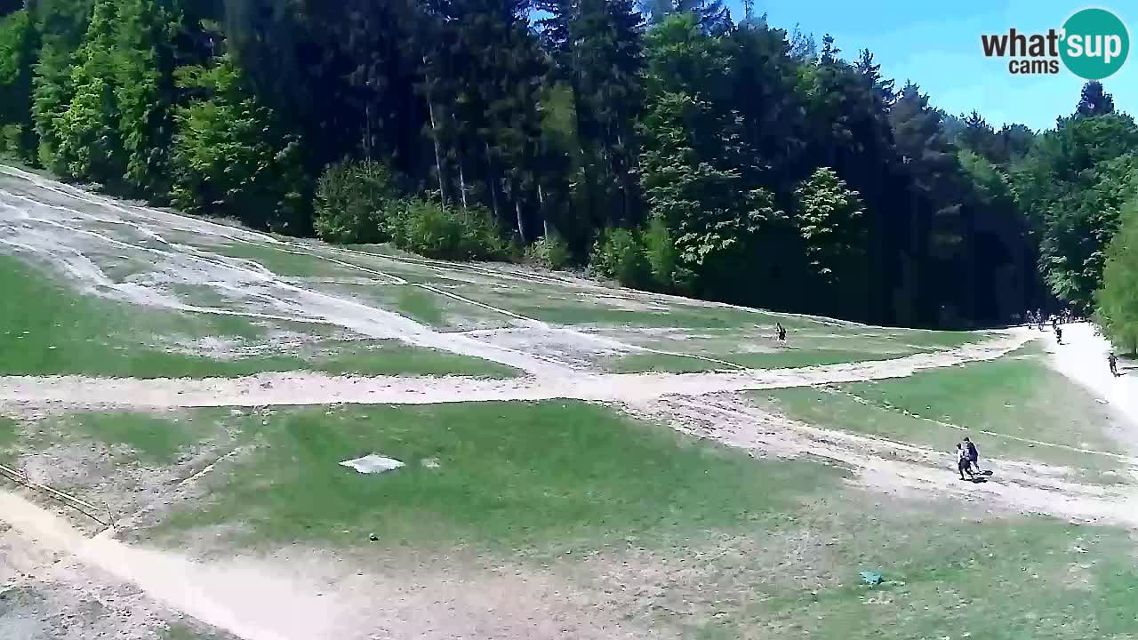 Webcam Pohorje Trikotna Jasa | Poštela