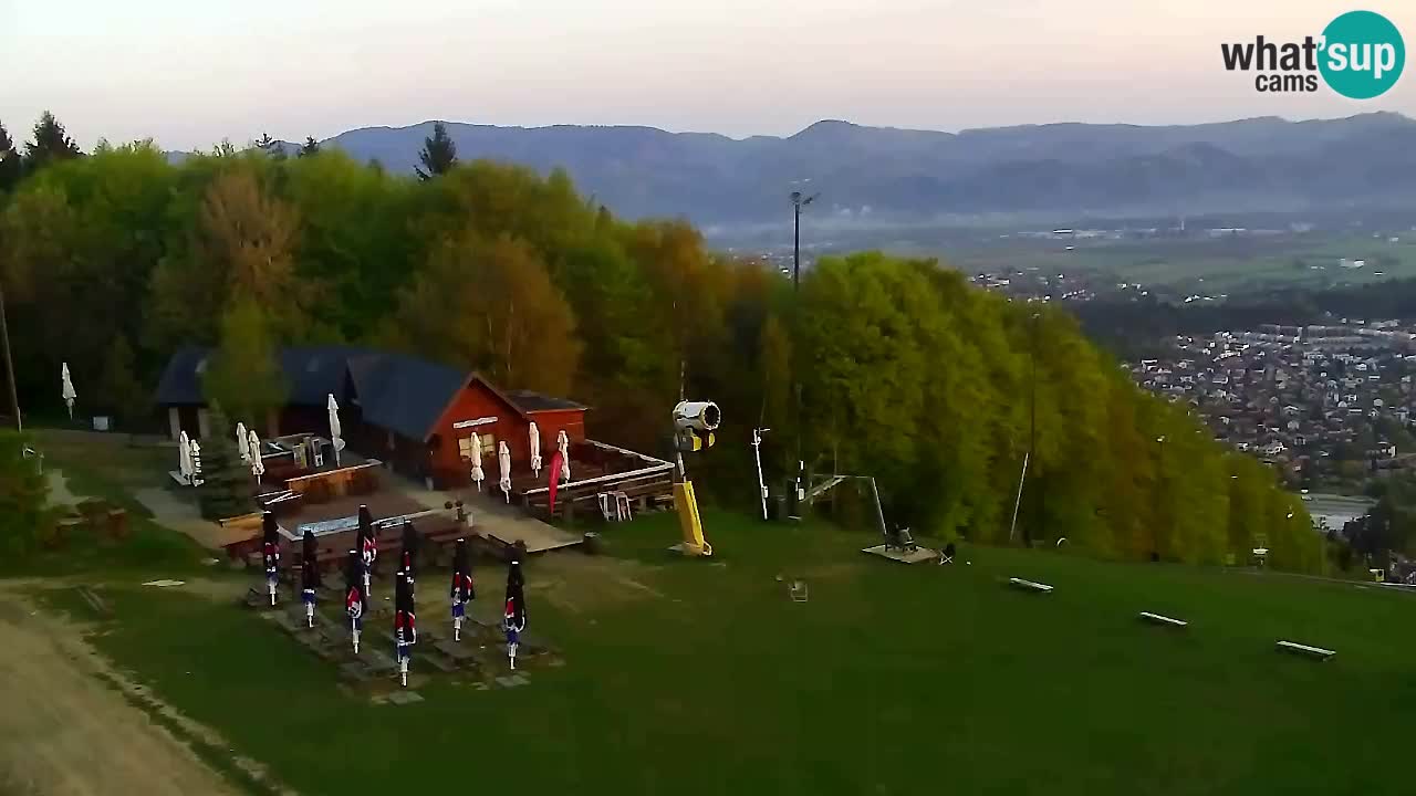 Webcam Pohorje Trikotna Jasa | Poštela