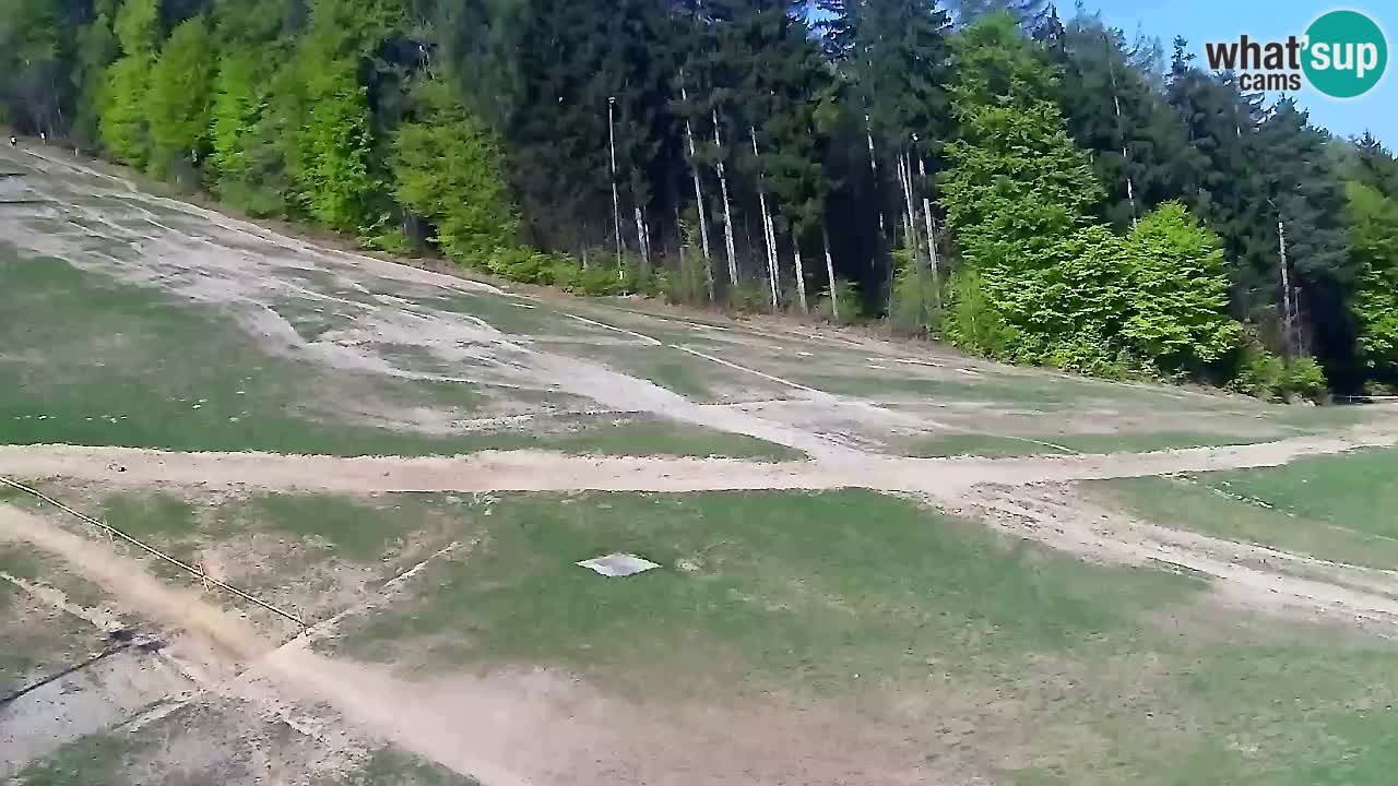 Webcam Pohorje Trikotna Jasa | Poštela