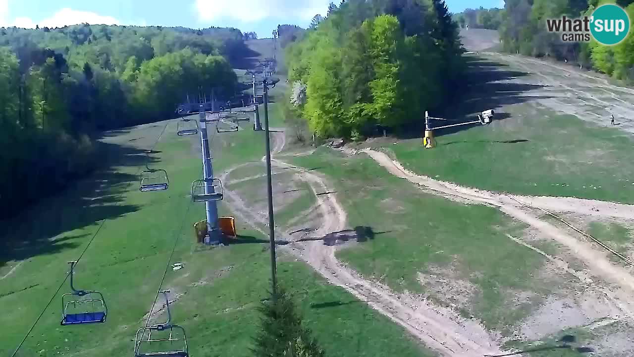Webcam Pohorje Trikotna Jasa | Poštela