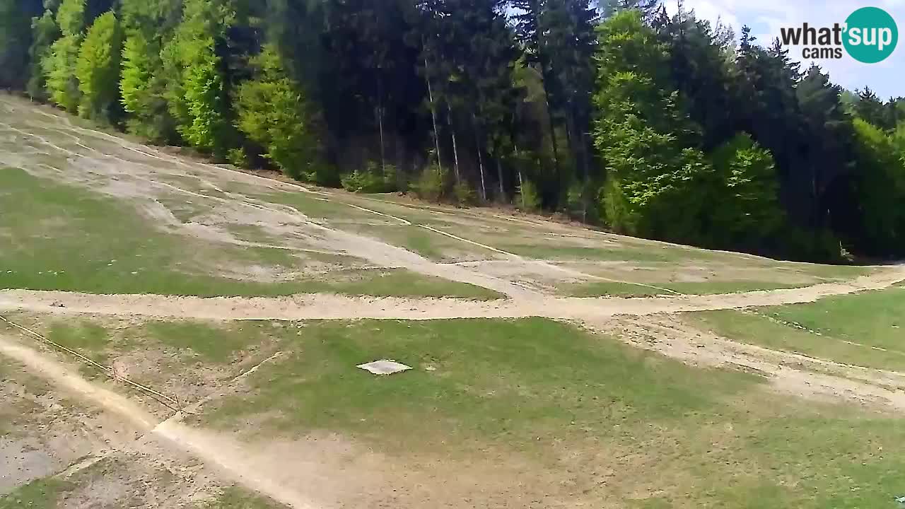 Webcam Pohorje Trikotna Jasa | Poštela