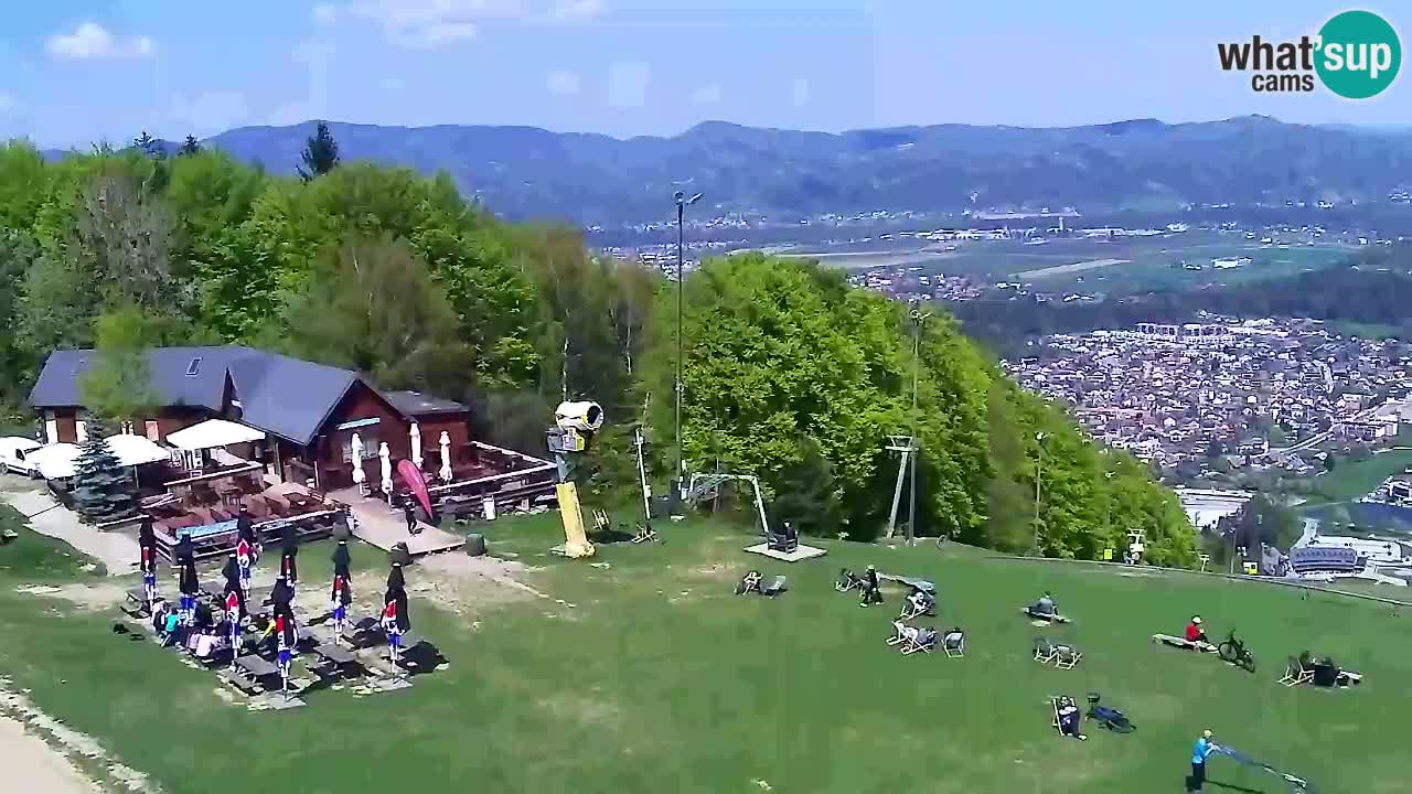 Webcam Pohorje Trikotna Jasa | Poštela