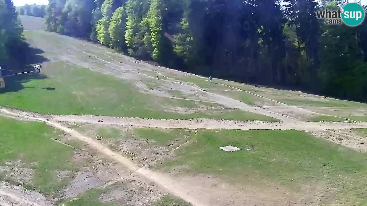 Webcam Pohorje Trikotna Jasa | Poštela