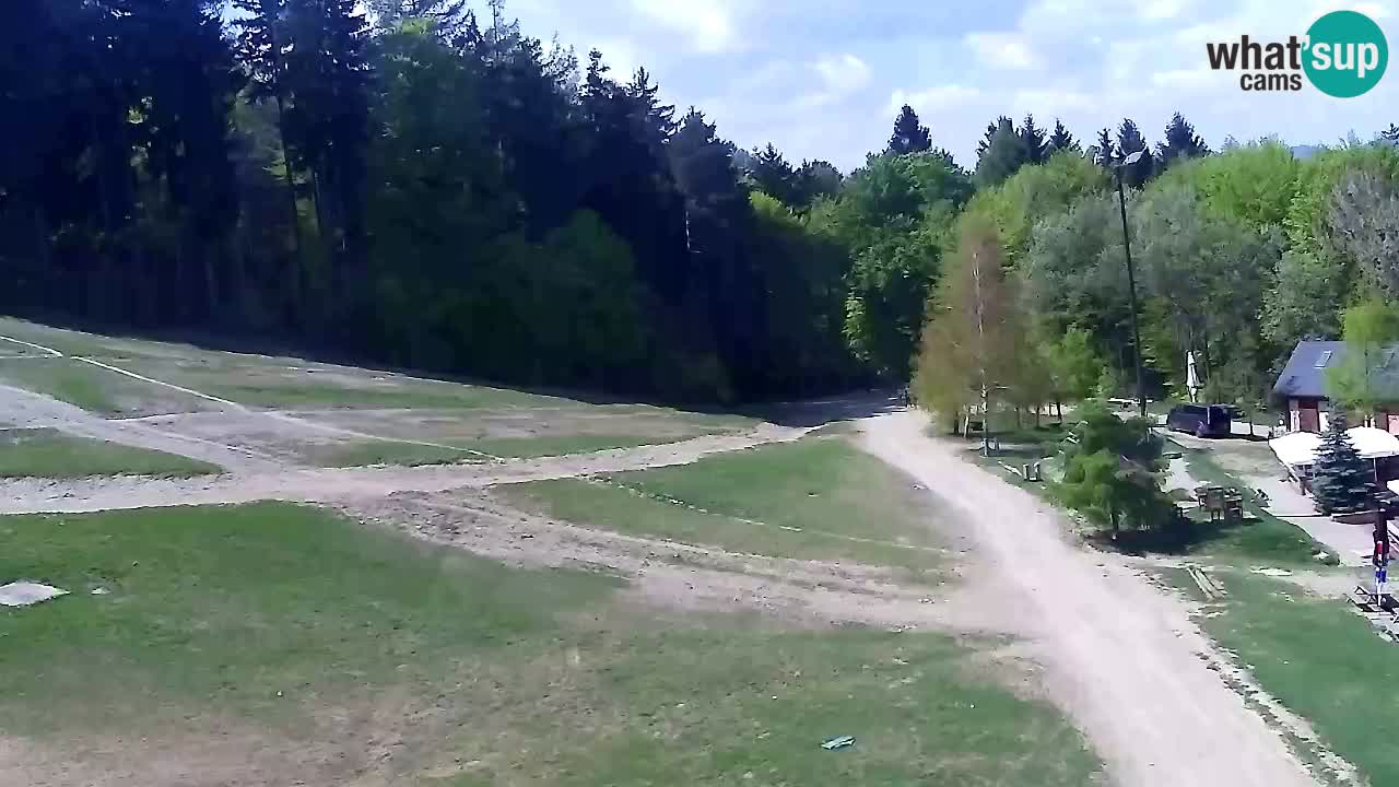 Webcam Pohorje Trikotna Jasa | Poštela