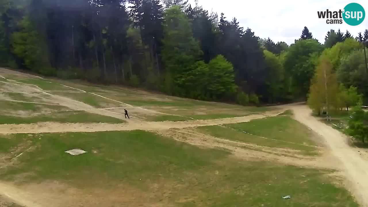 Webcam Pohorje Trikotna Jasa | Poštela