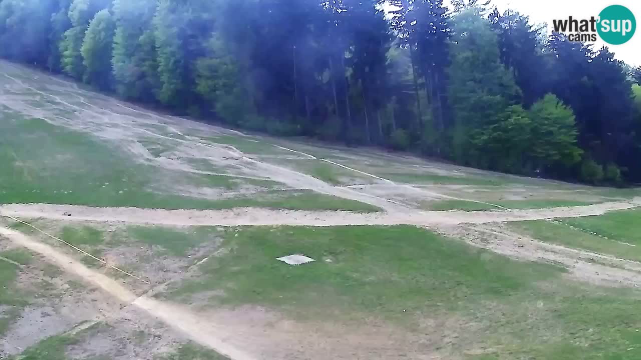 Web Camera Pohorje Trikotna Jasa | Poštela