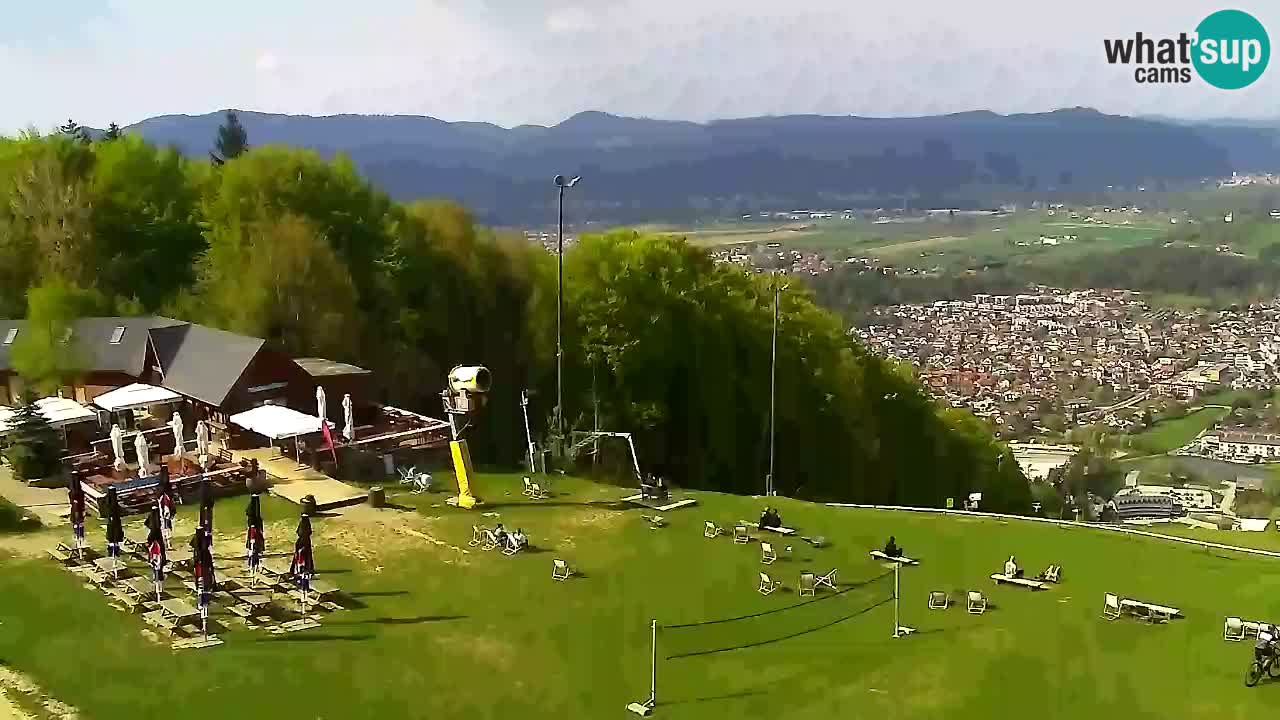Webcam Pohorje Trikotna Jasa | Poštela