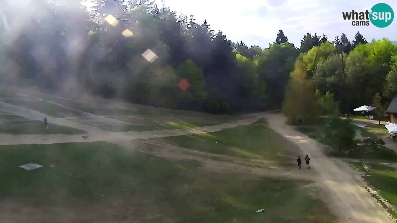 Webcam Pohorje Trikotna Jasa | Poštela