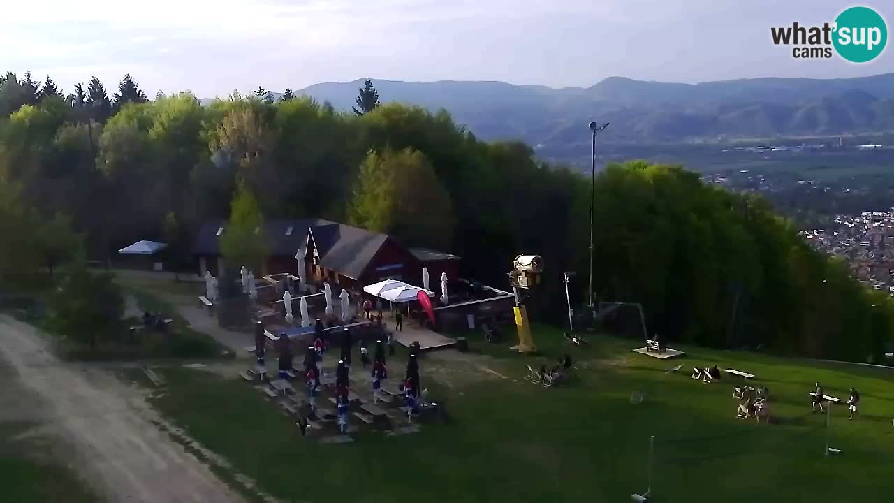 Webcam Pohorje Trikotna Jasa | Poštela