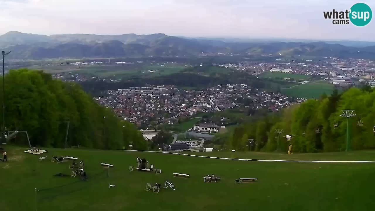 Webcam Pohorje Trikotna Jasa | Poštela