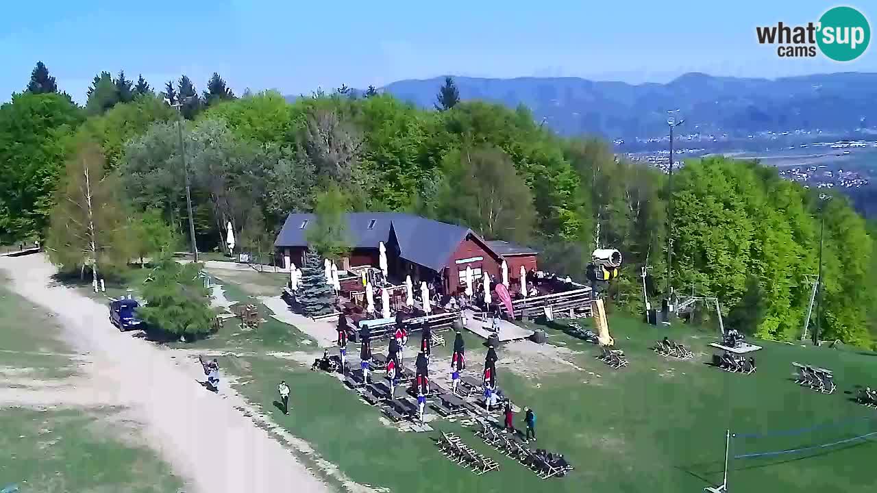 Webcam Pohorje Trikotna Jasa | Poštela