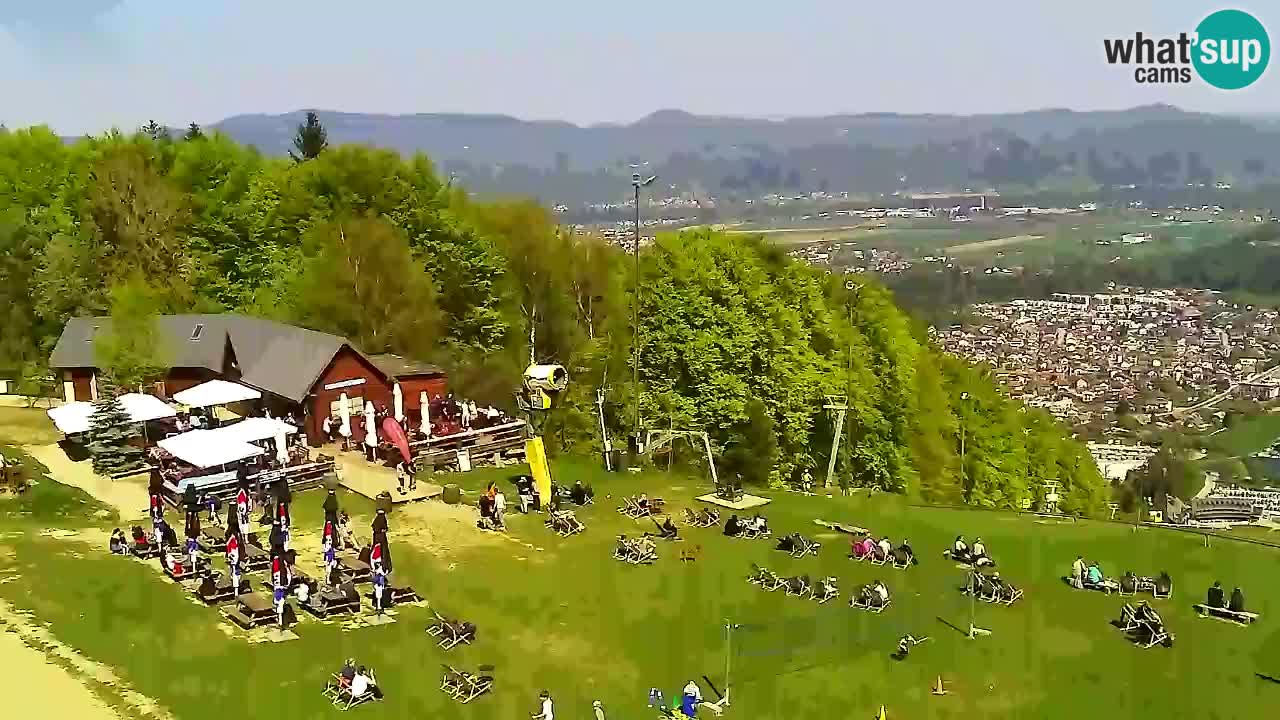 Webcam Pohorje Trikotna Jasa | Poštela
