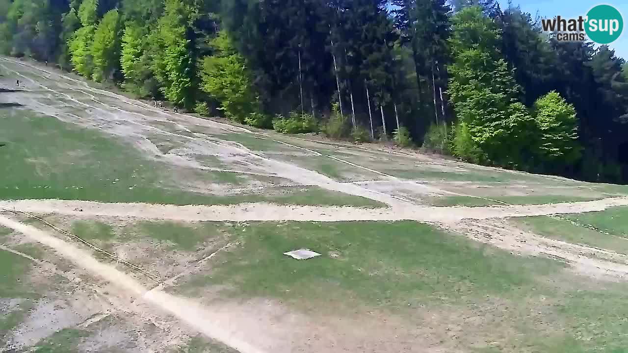 Spletna Kamera Pohorje Trikotna Jasa | Poštela