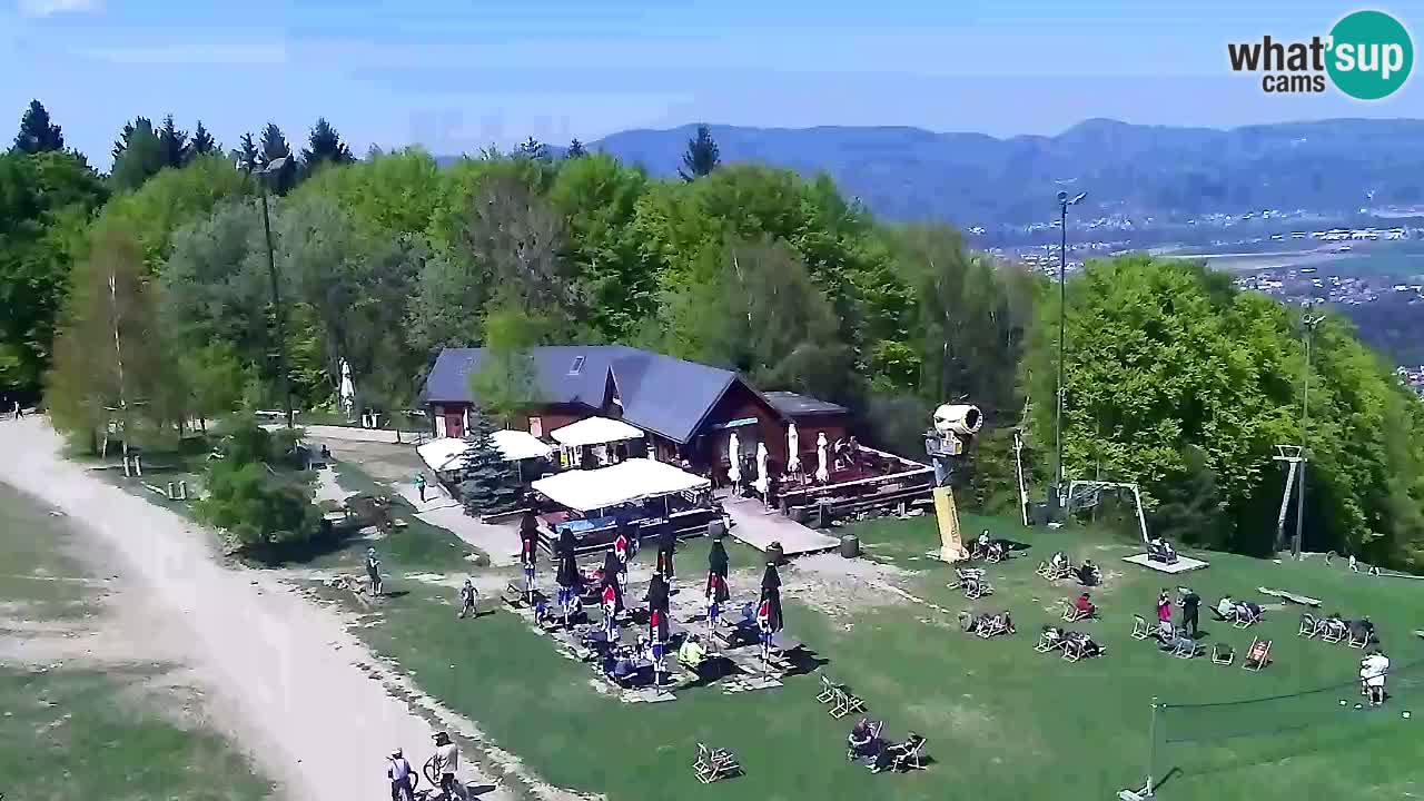 Web Camera Pohorje Trikotna Jasa | Poštela