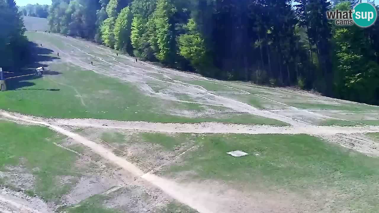 Spletna Kamera Pohorje Trikotna Jasa | Poštela