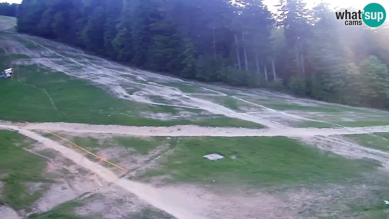 Webcam Pohorje Trikotna Jasa | Poštela