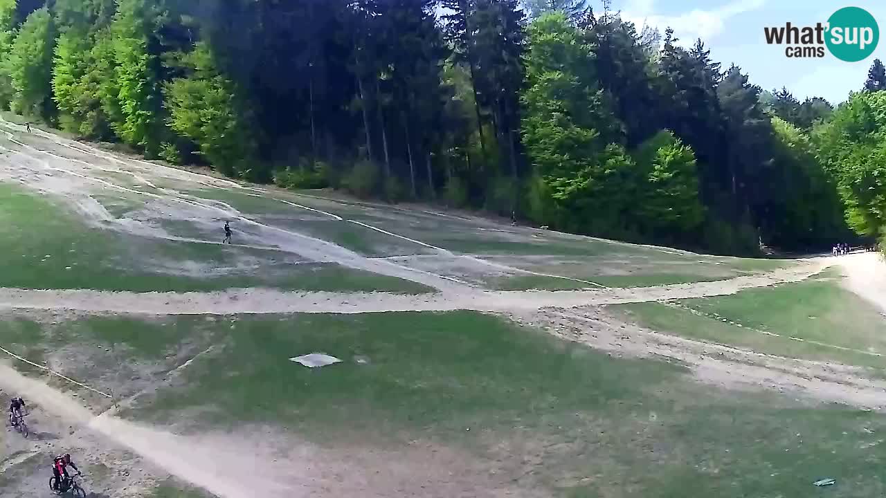 Web Camera Pohorje Trikotna Jasa | Poštela