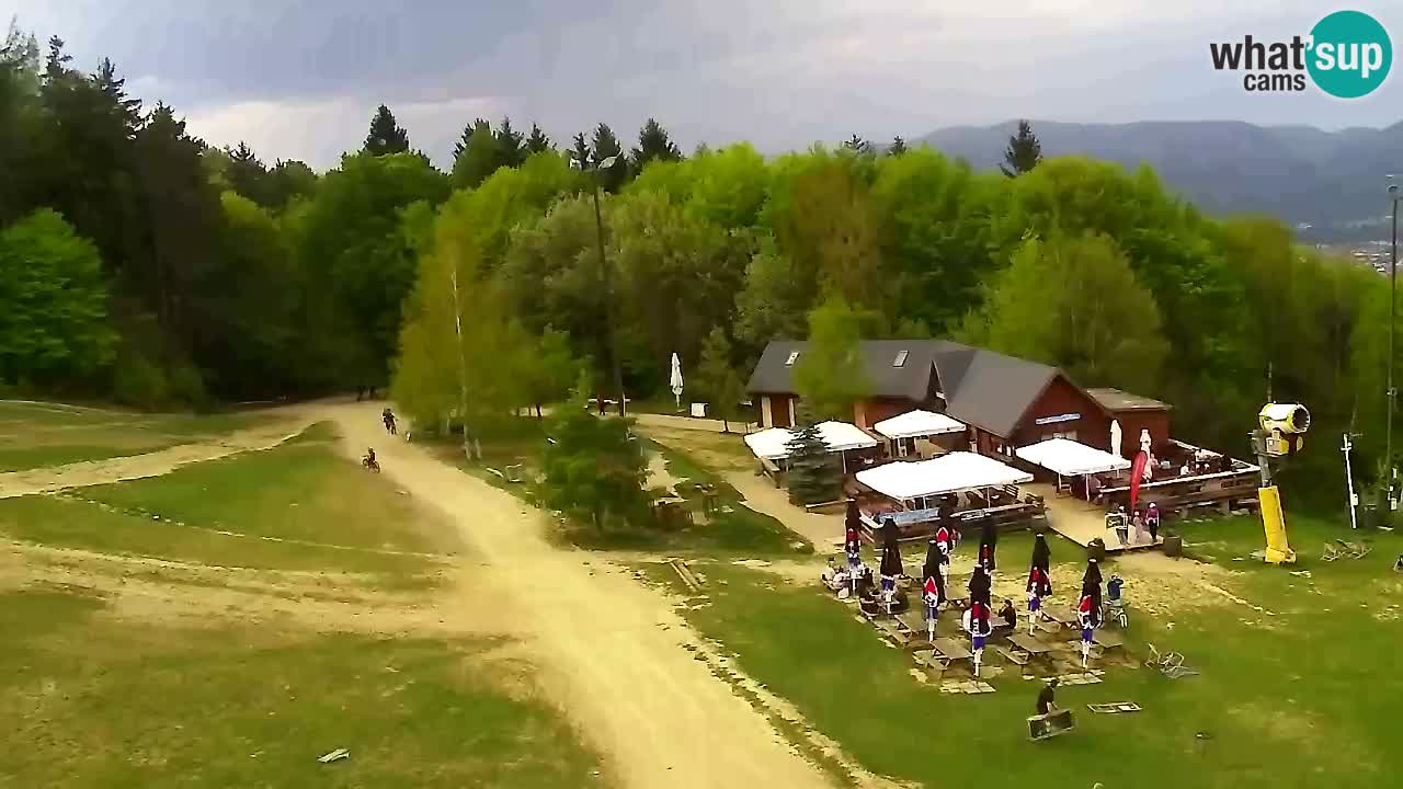 Webcam Pohorje Trikotna Jasa | Poštela