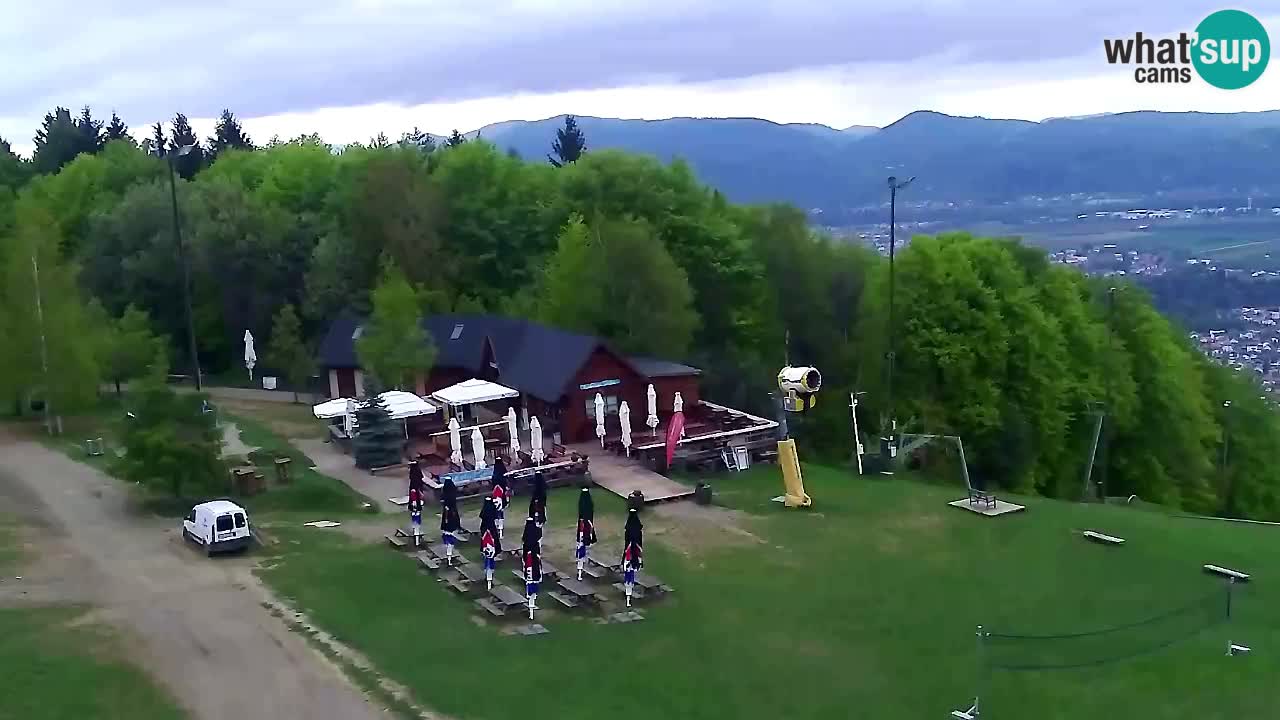 Webcam Pohorje Trikotna Jasa | Poštela