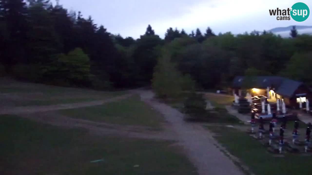 Webcam Pohorje Trikotna Jasa | Poštela