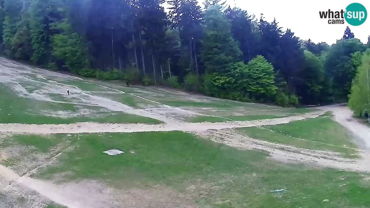 Webcam Pohorje Trikotna Jasa | Poštela