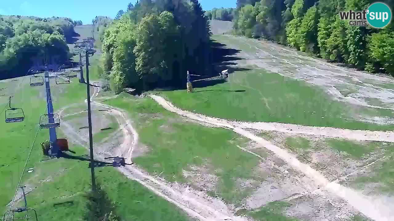 Webcam Pohorje Trikotna Jasa | Poštela