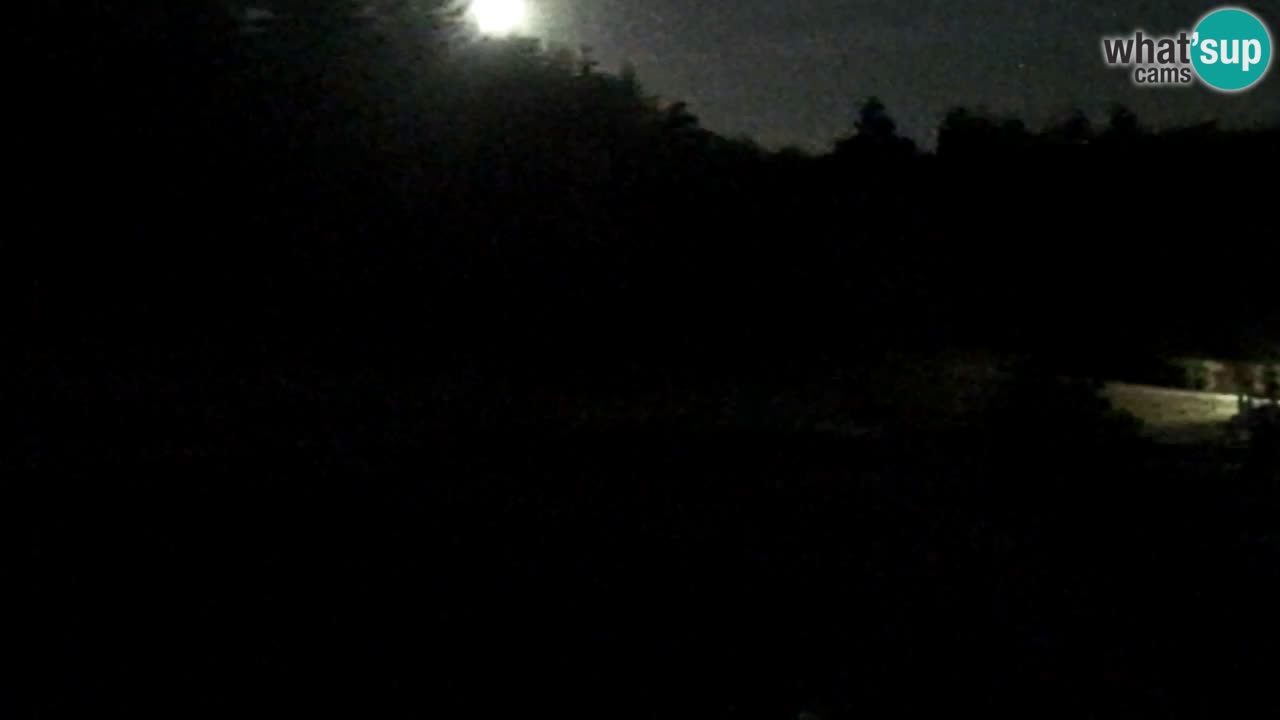 Webcam Pohorje Trikotna Jasa | Poštela