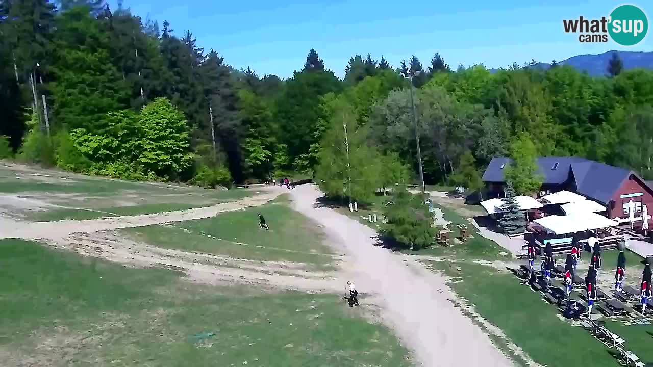 Webcam Pohorje Trikotna Jasa | Poštela