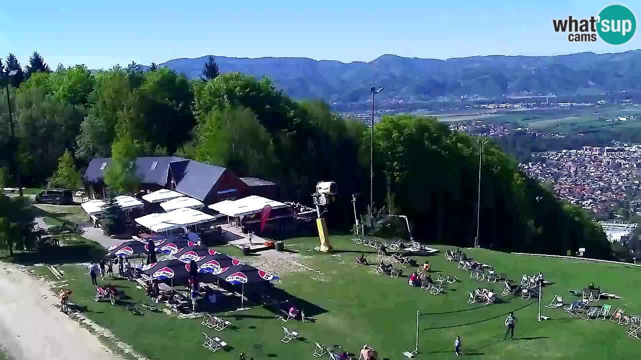 Webcam Pohorje Trikotna Jasa | Poštela