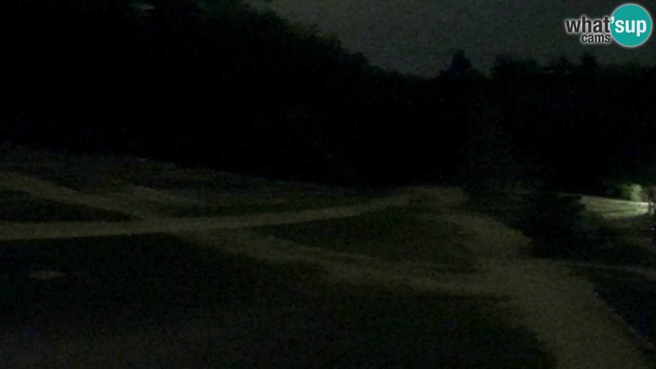 Webcam Pohorje Trikotna Jasa | Poštela