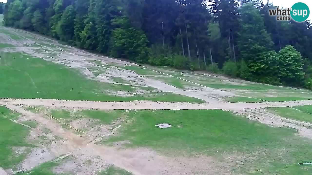 Web Camera Pohorje Trikotna Jasa | Poštela