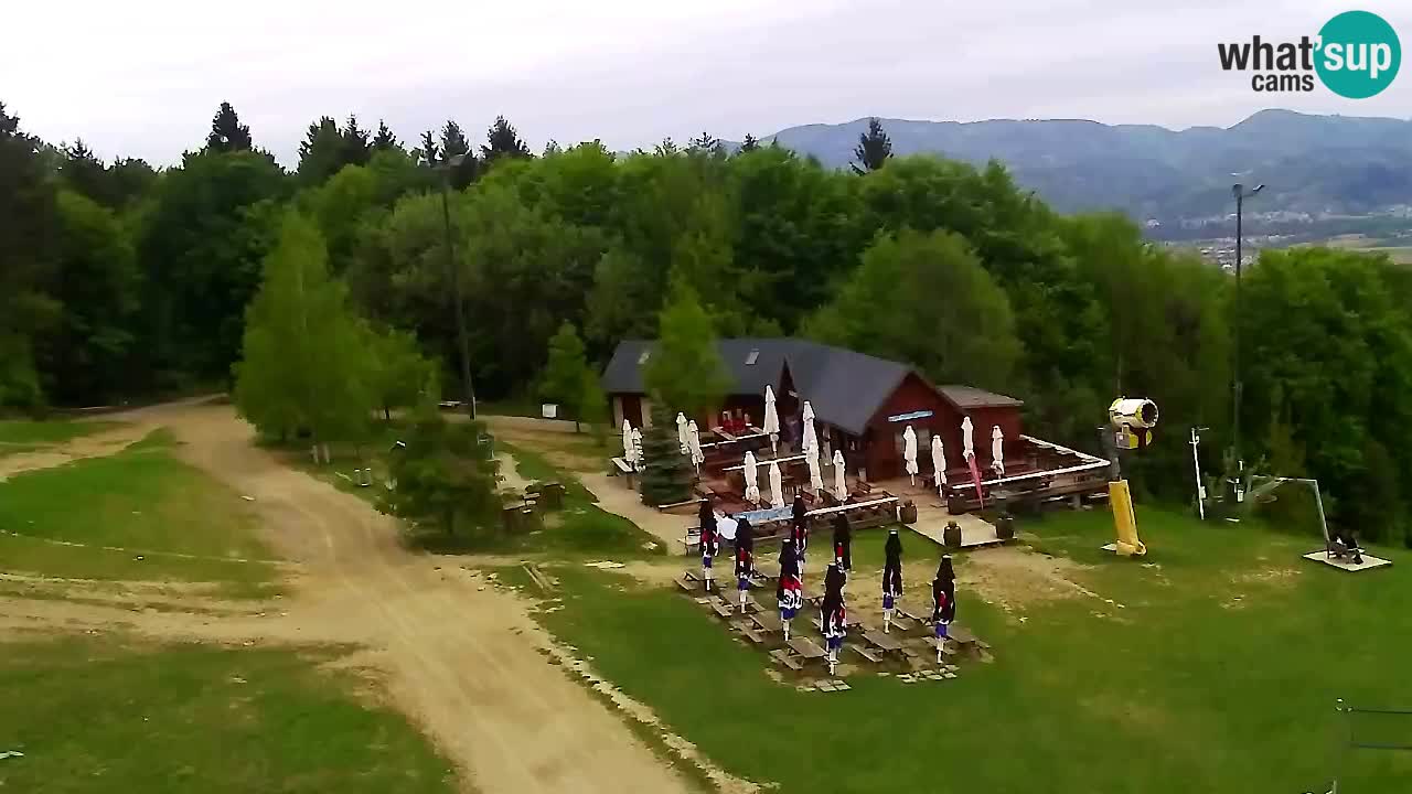 Webcam Pohorje Trikotna Jasa | Poštela
