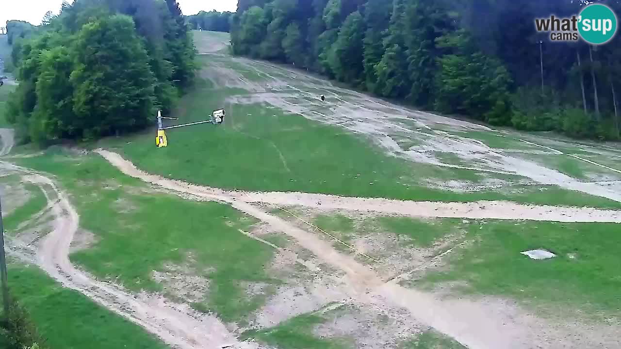 Webcam Pohorje Trikotna Jasa | Poštela