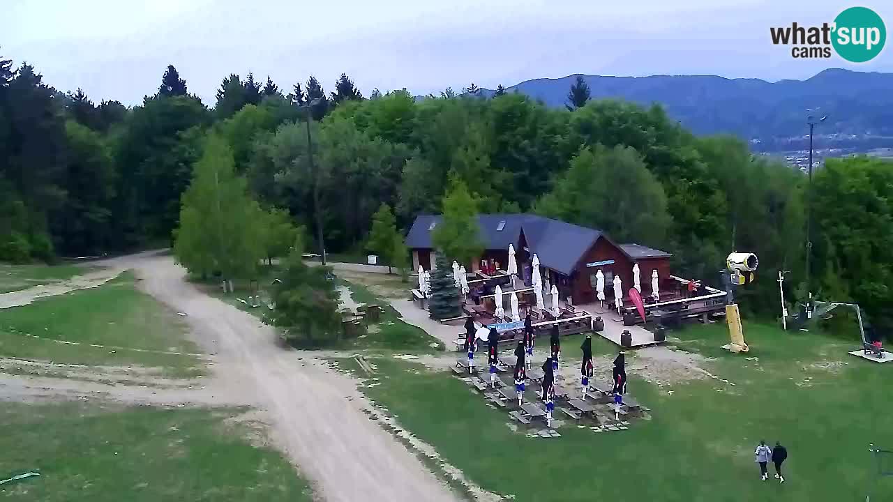 Webcam Pohorje Trikotna Jasa | Poštela