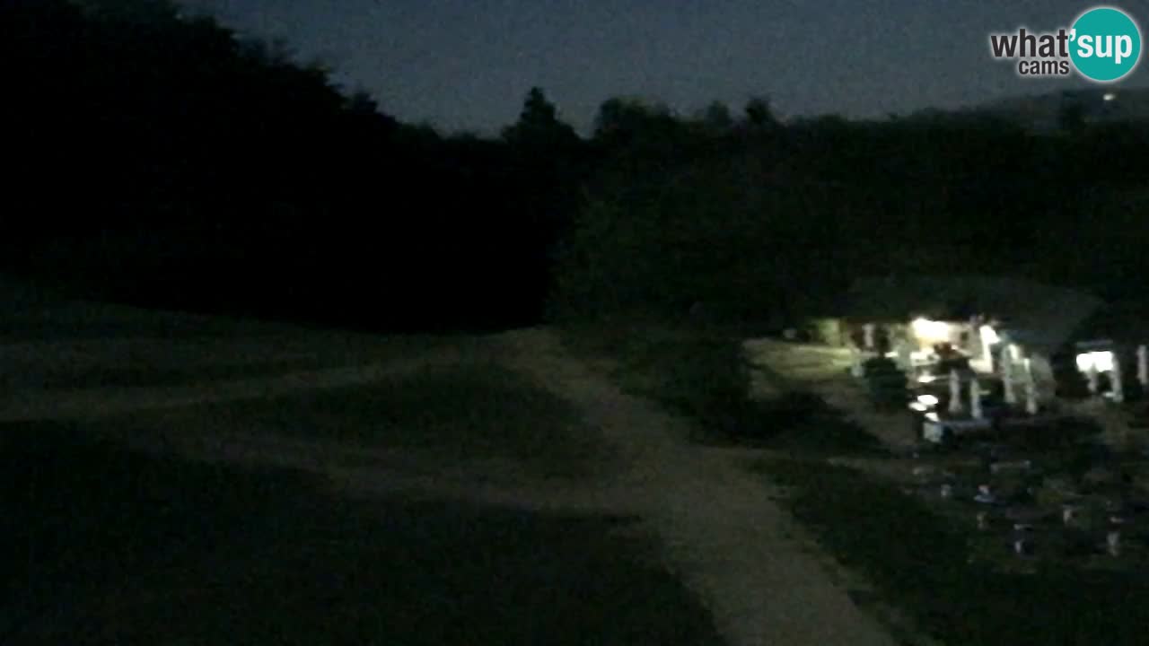 Webcam Pohorje Trikotna Jasa | Poštela