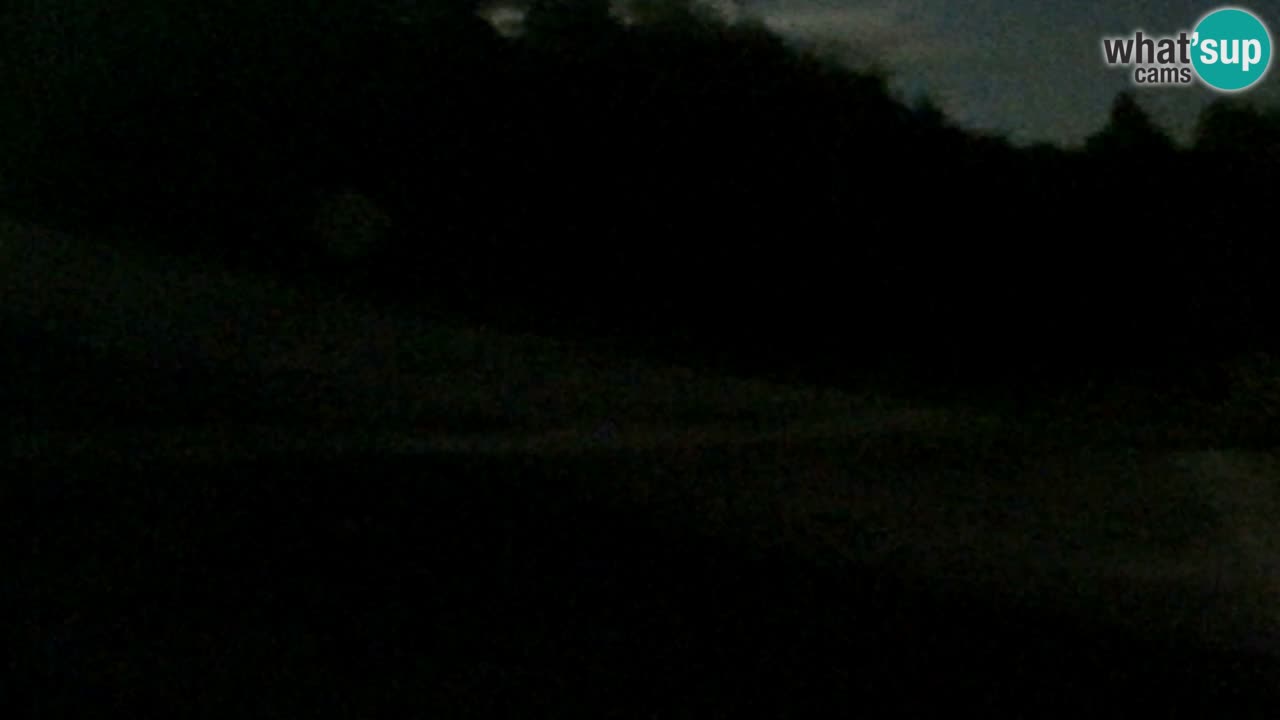 Spletna Kamera Pohorje Trikotna Jasa | Poštela