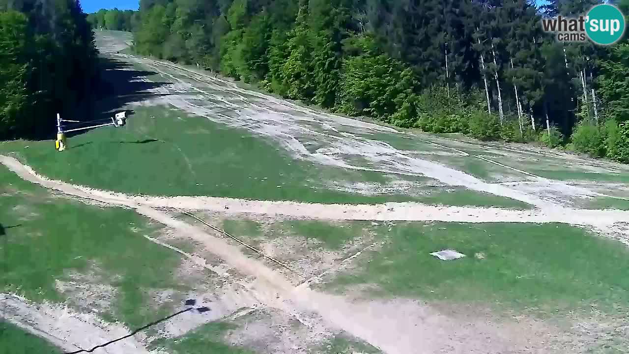 Webcam Pohorje Trikotna Jasa | Poštela