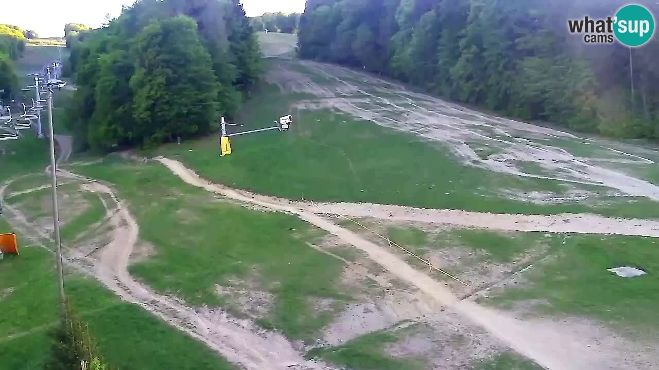 Webcam Pohorje Trikotna Jasa | Poštela