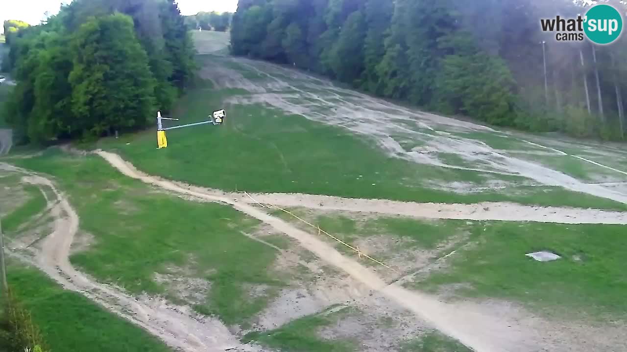 Web kamera Pohorje Trikotna Jasa | Poštela