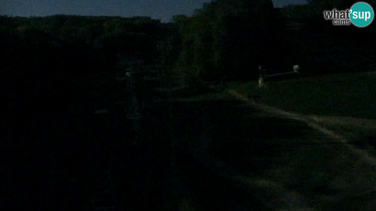 Web Camera Pohorje Trikotna Jasa | Poštela