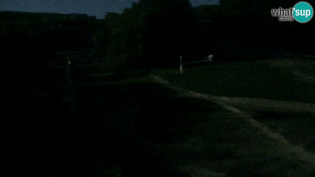 Webcam Pohorje Trikotna Jasa | Poštela