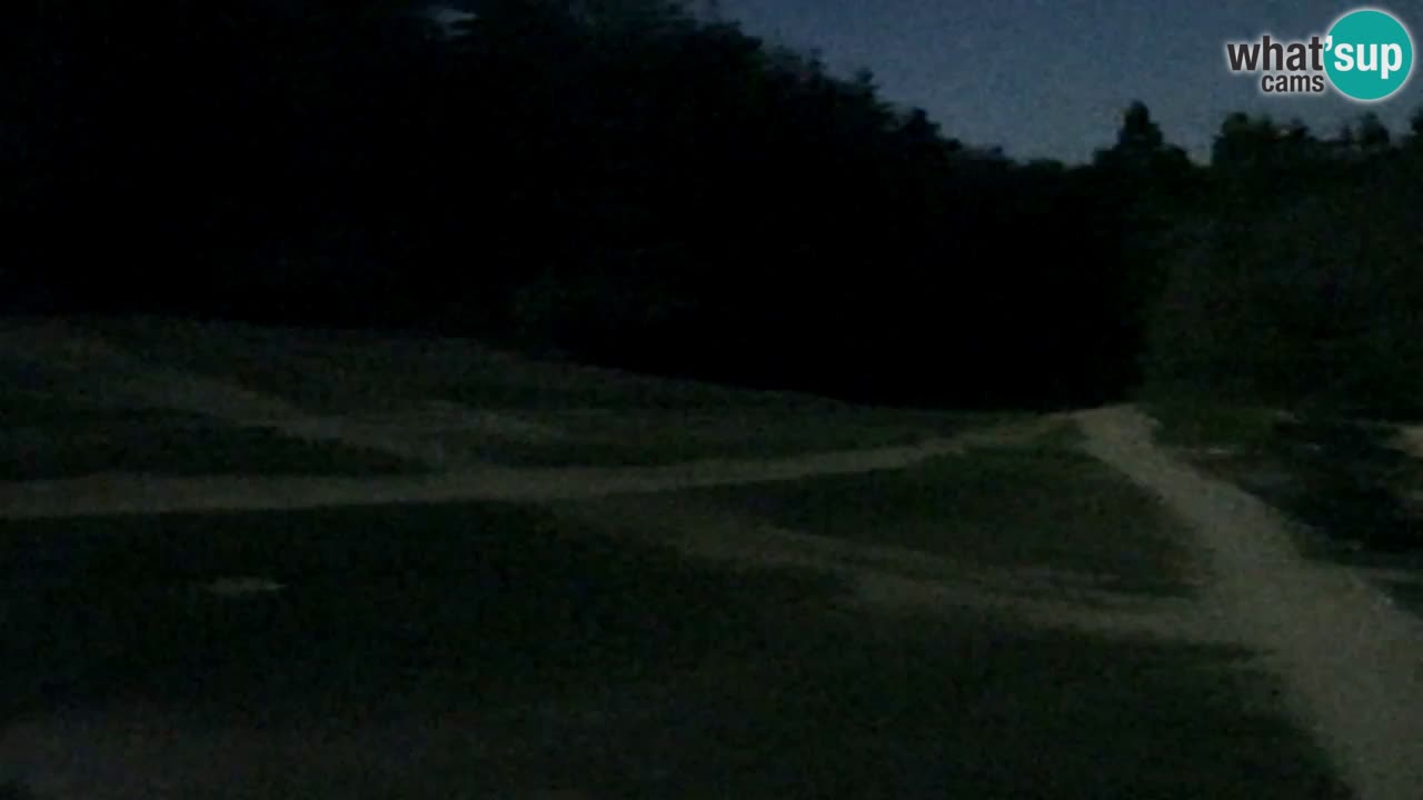 Web kamera Pohorje Trikotna Jasa | Poštela