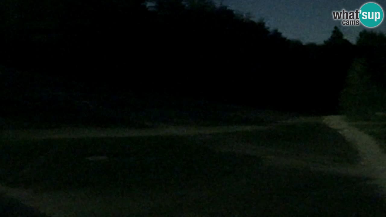 Webcam Pohorje Trikotna Jasa | Poštela