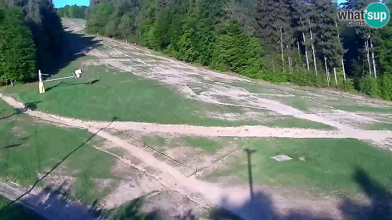 Webcam Pohorje Trikotna Jasa | Poštela