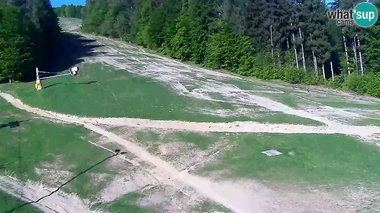 Webcam Pohorje Trikotna Jasa | Poštela