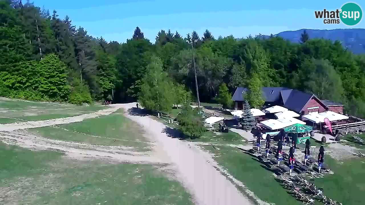 Webcam Pohorje Trikotna Jasa | Poštela