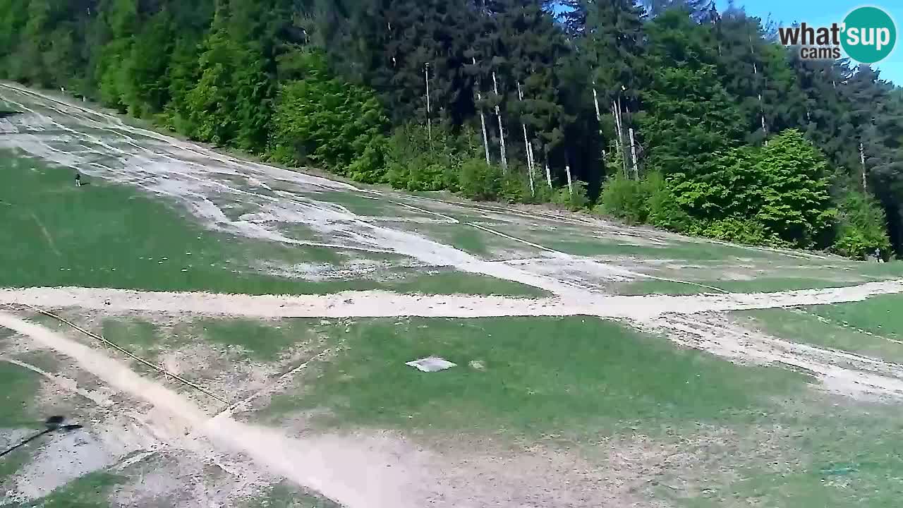 Webcam Pohorje Trikotna Jasa | Poštela