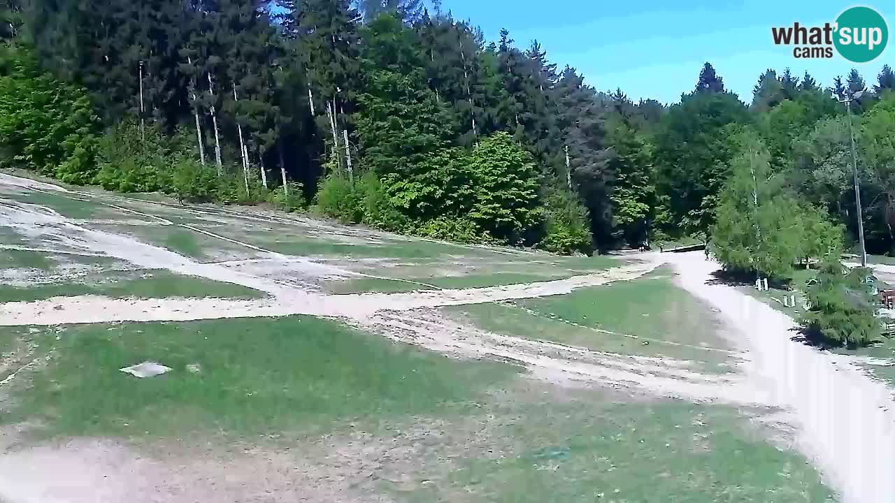 Web Camera Pohorje Trikotna Jasa | Poštela