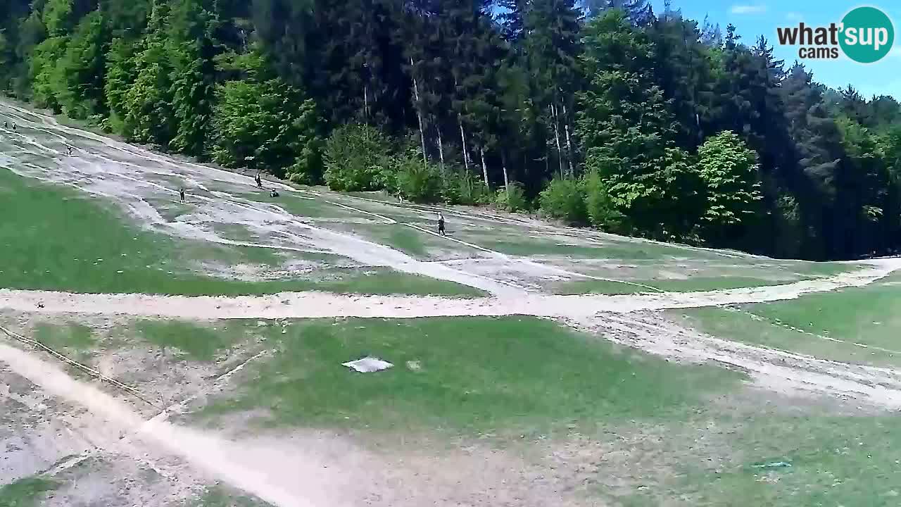 Web Camera Pohorje Trikotna Jasa | Poštela
